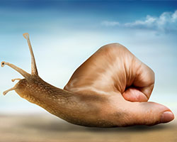 Arm-F&auml;higkeits-Training