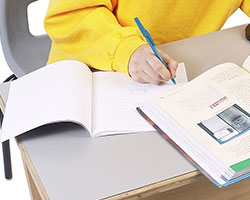 Feinmotorik nach Stehn